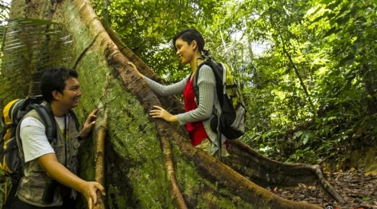 マレーシア森林研究所 (FRIM) ネイチャートレッキングツアー　